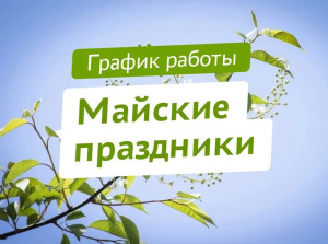 Режим работы в праздничные дни